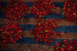 Archipel-des-Comores;-Bâche;-France;-Kaleidos;-Kaleidos-images;-La-parole-à-limage;-Laurent-Abad;-Légumes;-Mayotte;-Océan-Indien;-Piments;-Piments-rouges;-Stories-Pictures;-Vue-plongeante